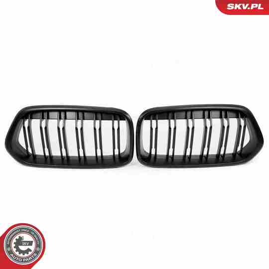 66SKV247 - Radiator Grille 