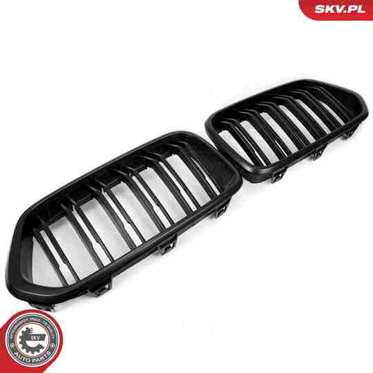 66SKV247 - Radiator Grille 