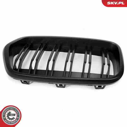 66SKV247 - Radiator Grille 