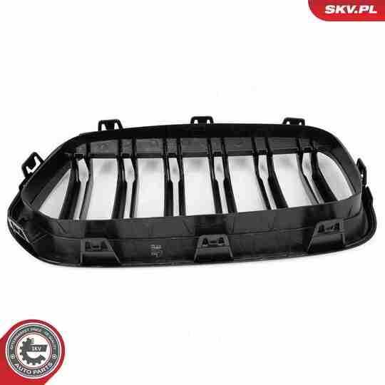 66SKV247 - Radiator Grille 