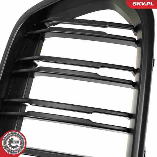 66SKV247 - Radiator Grille 