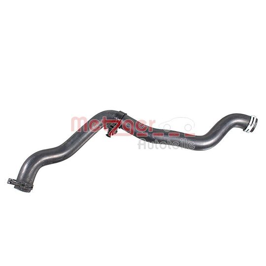 2421734 - Radiator Hose 