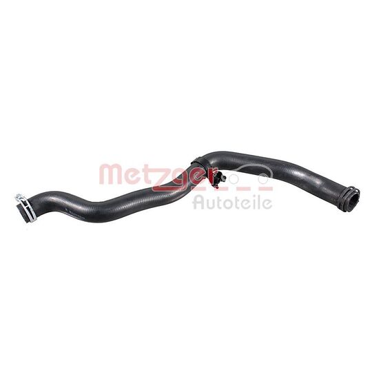 2421734 - Radiator Hose 