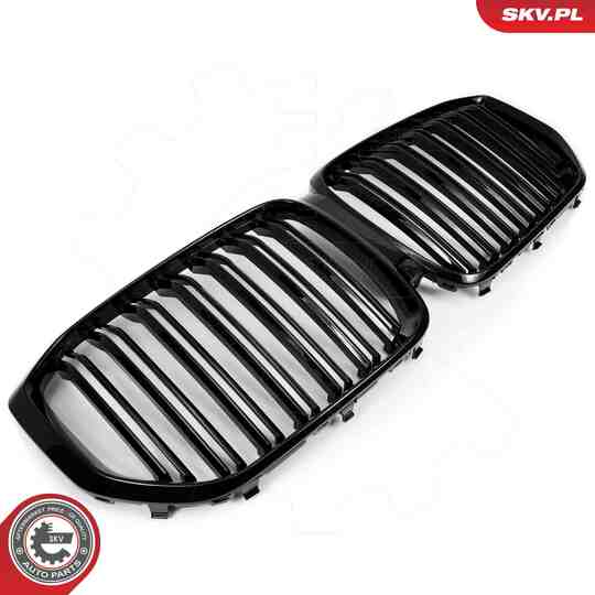 66SKV303 - Radiator Grille 