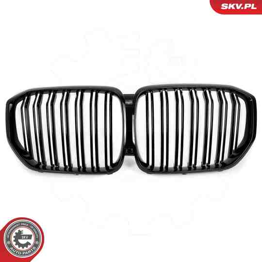 66SKV303 - Radiator Grille 