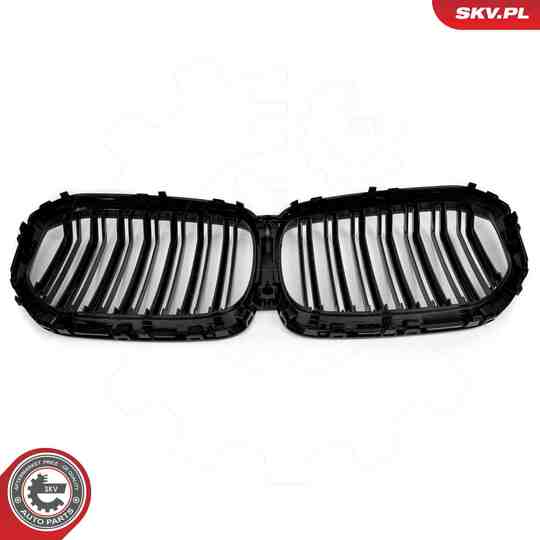 66SKV303 - Radiator Grille 