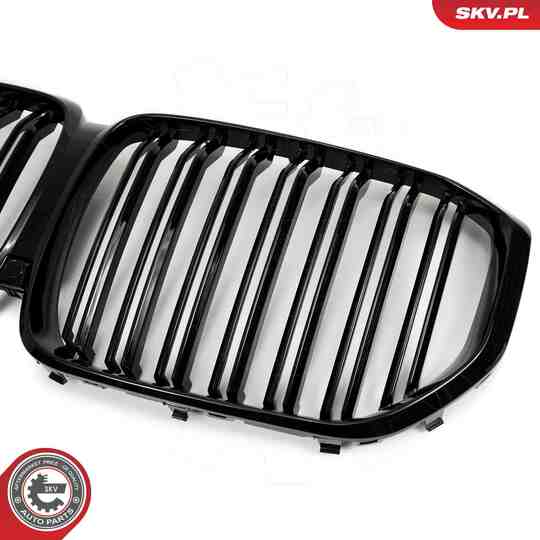 66SKV303 - Radiator Grille 