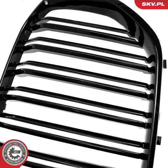 66SKV303 - Radiator Grille 