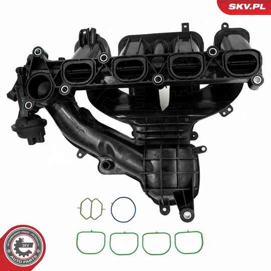 49SKV085 - Intake Manifold Module 