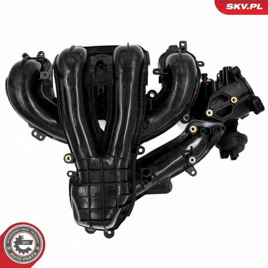 49SKV085 - Intake Manifold Module 