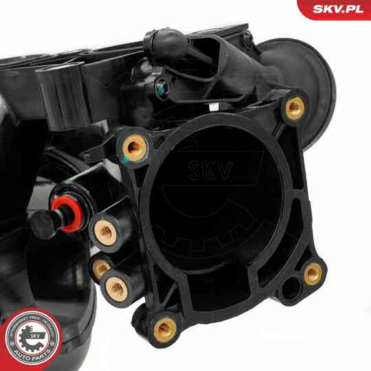 49SKV085 - Intake Manifold Module 