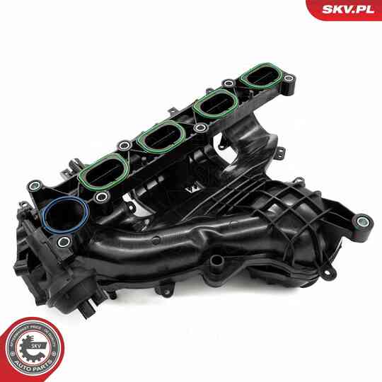 49SKV085 - Intake Manifold Module 