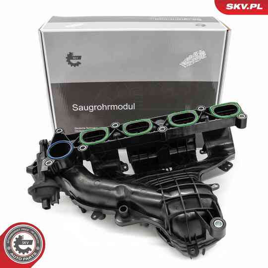 49SKV085 - Intake Manifold Module 