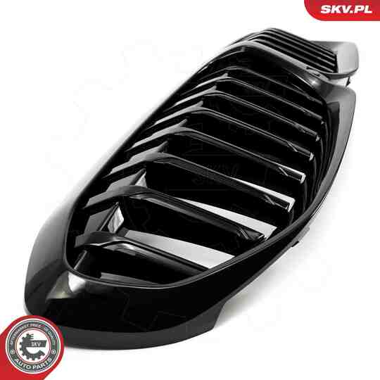 66SKV136 - Radiator Grille 