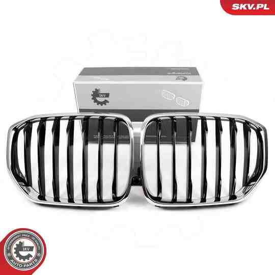 66SKV302 - Radiator Grille 