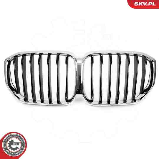 66SKV302 - Radiator Grille 