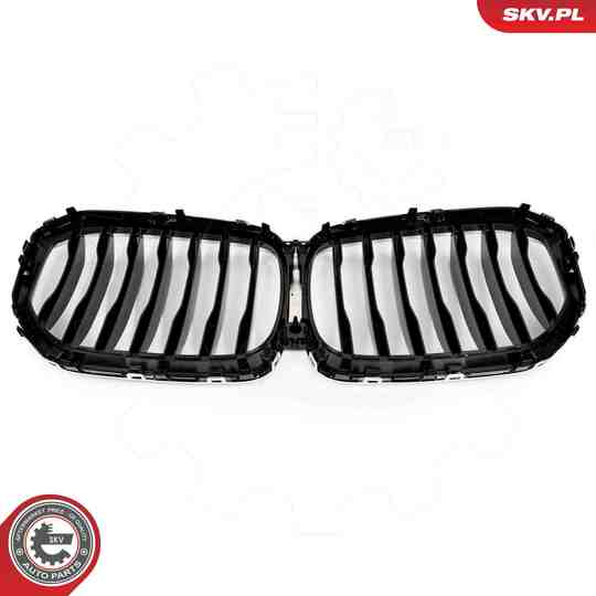 66SKV302 - Radiator Grille 