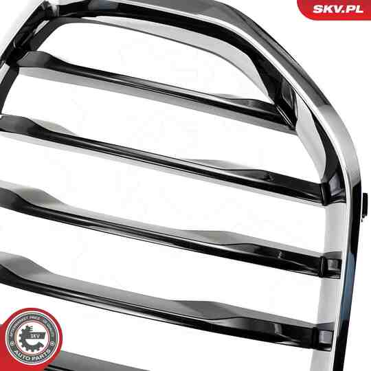 66SKV302 - Radiator Grille 