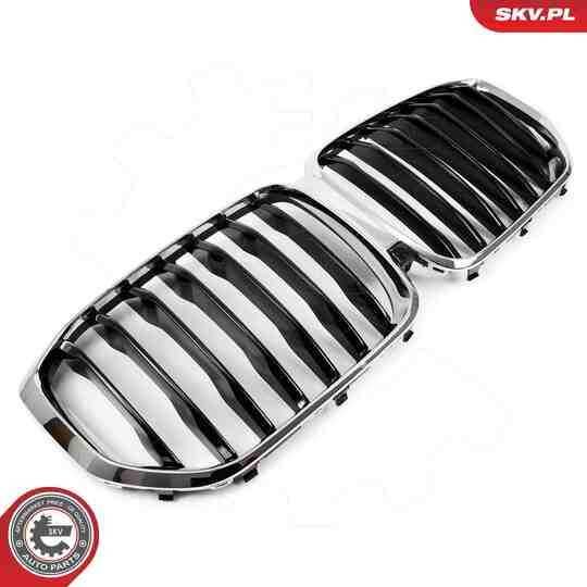 66SKV302 - Radiator Grille 