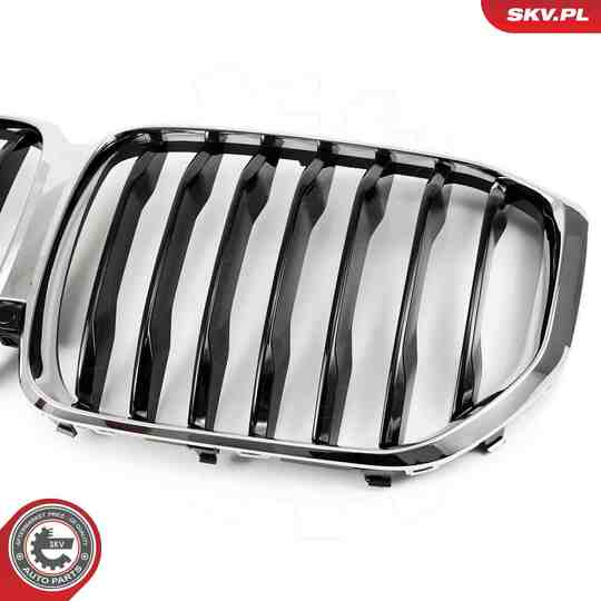 66SKV302 - Radiator Grille 