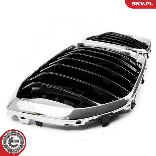 66SKV302 - Radiator Grille 