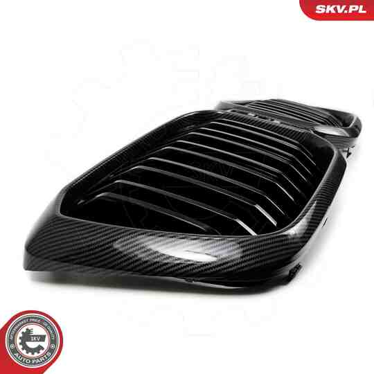 66SKV268 - Radiator Grille 