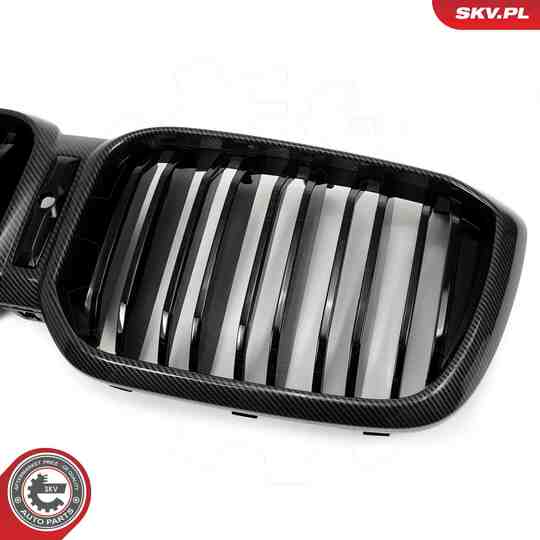 66SKV268 - Radiator Grille 