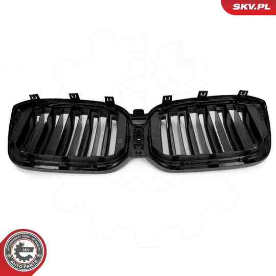 66SKV268 - Radiator Grille 