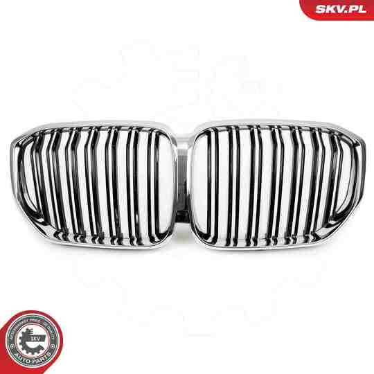 66SKV305 - Radiator Grille 