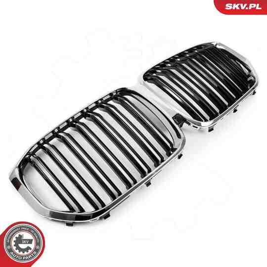 66SKV305 - Radiator Grille 