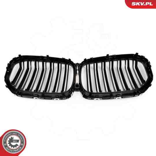 66SKV305 - Radiator Grille 