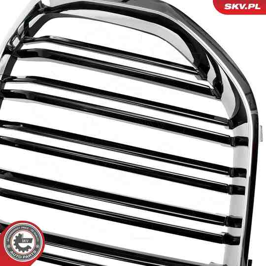 66SKV305 - Radiator Grille 