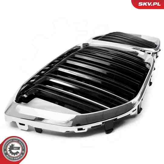 66SKV305 - Radiator Grille 