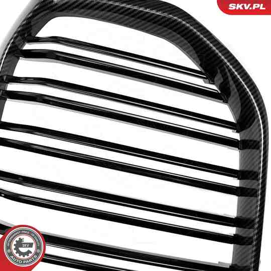 66SKV306 - Radiator Grille 