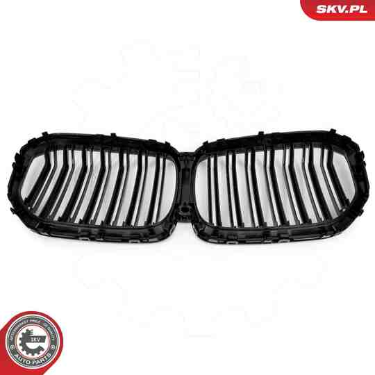 66SKV306 - Radiator Grille 