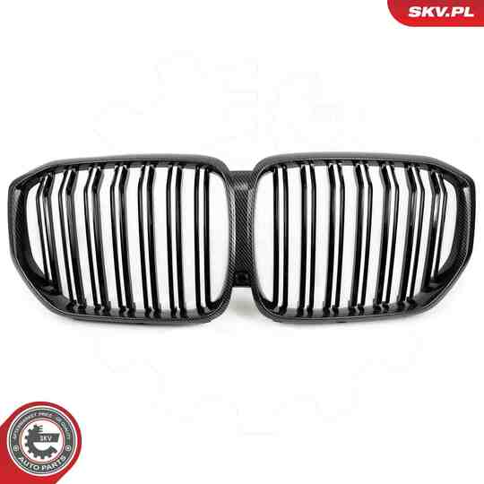 66SKV306 - Radiator Grille 