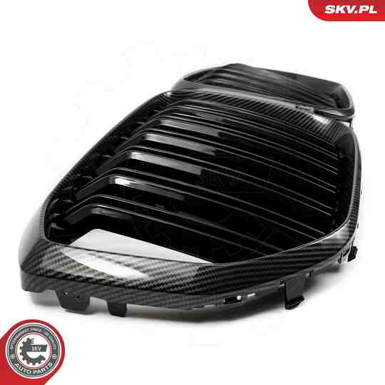 66SKV306 - Radiator Grille 