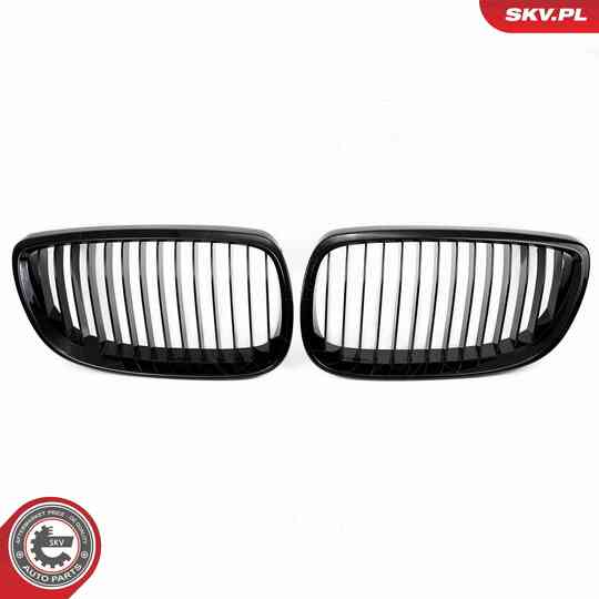 66SKV104 - Radiator Grille 