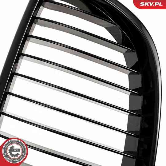 66SKV104 - Radiator Grille 