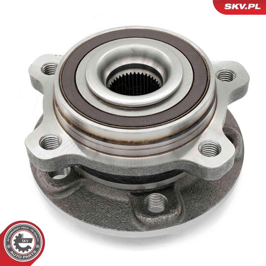 29SKV306 - Wheel Bearing Kit 