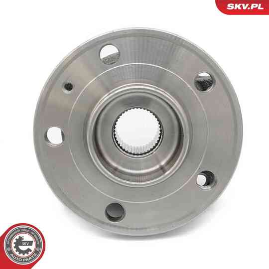 29SKV306 - Wheel Bearing Kit 