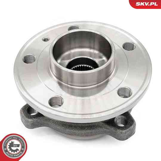 29SKV306 - Wheel Bearing Kit 