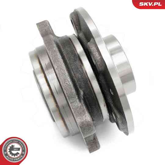 29SKV306 - Wheel Bearing Kit 