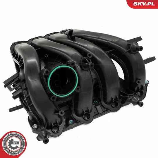 49SKV087 - Intake Manifold Module 