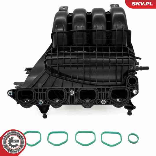 49SKV087 - Intake Manifold Module 