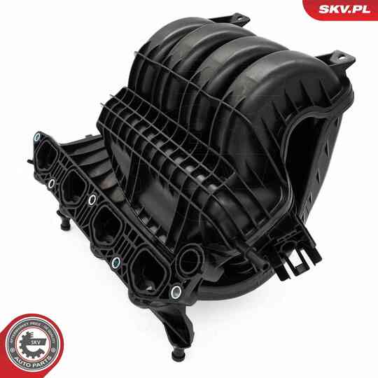 49SKV087 - Intake Manifold Module 