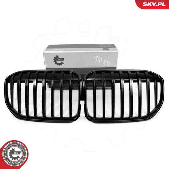 66SKV224 - Radiator Grille 