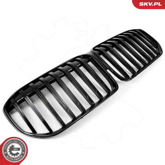 66SKV224 - Radiator Grille 