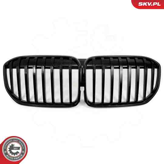 66SKV224 - Radiator Grille 