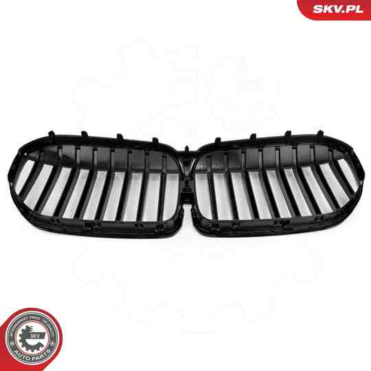 66SKV224 - Radiator Grille 